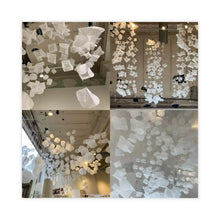 Load image into Gallery viewer, #150/2015-2025