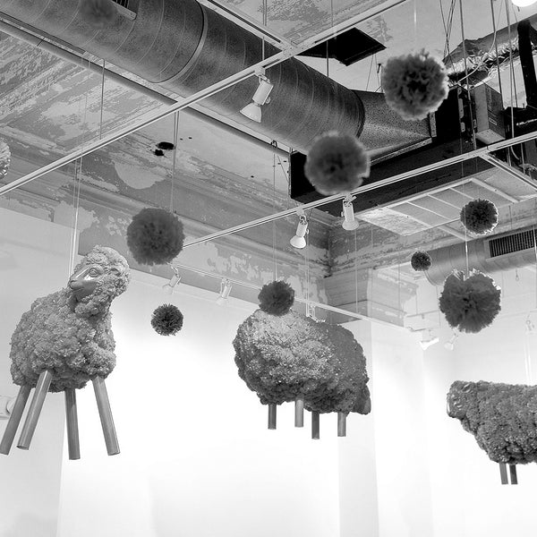 Load image into Gallery viewer, Pombaa - Orange Sheep 1