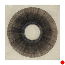 Load image into Gallery viewer, Burmese Days #111