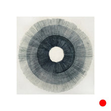 Load image into Gallery viewer, Burmese Days #72