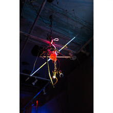 Load image into Gallery viewer, Chandelier #10