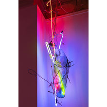 Load image into Gallery viewer, Untitled #2