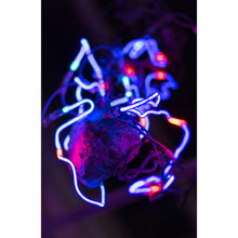 Load image into Gallery viewer, Chandelier #7