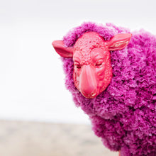Load image into Gallery viewer, Pombaa - Purple Ram
