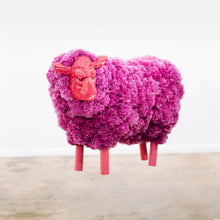 Load image into Gallery viewer, Pombaa - Purple Ram