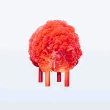 Load image into Gallery viewer, Pombaa - Red Ram