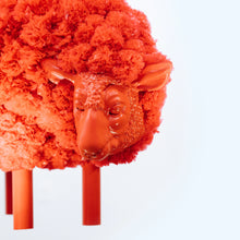 Load image into Gallery viewer, Pombaa - Red Ram