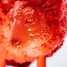 Load image into Gallery viewer, Pombaa - Red Ram