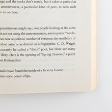 Load image into Gallery viewer, page-detail-the-art-of-voice-tony-hoagland