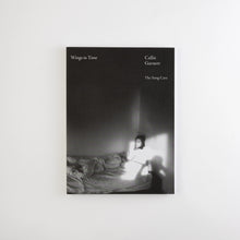 Load image into Gallery viewer, book-cover-wings-in-time-by-callie-garnett