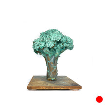 Load image into Gallery viewer, Broccoli