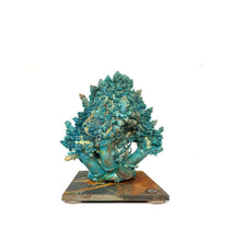 Load image into Gallery viewer, Romanesco Broccoli