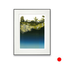 Load image into Gallery viewer, Color Landscape 2 : Maine