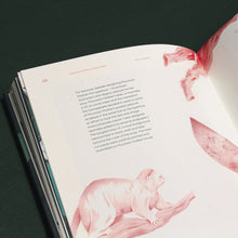 Load image into Gallery viewer, Mountain Mother Book
