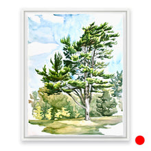 Load image into Gallery viewer, North Lawn Tree, COA