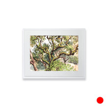 Load image into Gallery viewer, Mossy Oak, Santa Cruz Hills