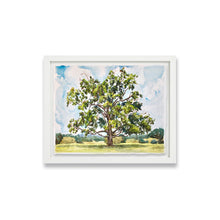 Load image into Gallery viewer, Belmont Plateau Tree