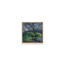 Load image into Gallery viewer, Overlook