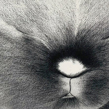 Load image into Gallery viewer, Wink #6