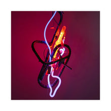 Load image into Gallery viewer, #076/2015-2025
