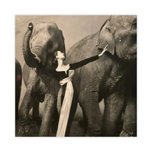 Load image into Gallery viewer, #138/2015-2025
