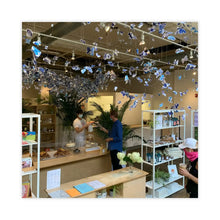 Load image into Gallery viewer, #149/2015-2025
