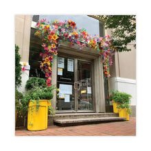 Load image into Gallery viewer, #168/2015-2025
