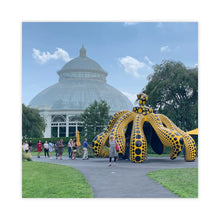 Load image into Gallery viewer, #211/2015-2025
