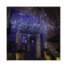 Load image into Gallery viewer, #263/2015-2025
