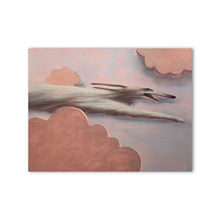 Load image into Gallery viewer, Zoomies1
