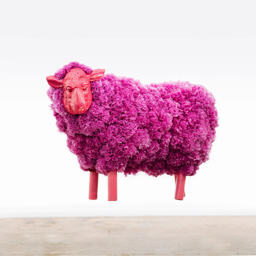 Pombaa - Purple Ram