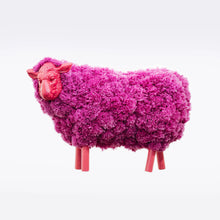 Load image into Gallery viewer, Pombaa - Purple Ram
