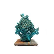 Load image into Gallery viewer, Romanesco Broccoli
