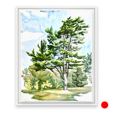 Load image into Gallery viewer, North Lawn Tree, COA
