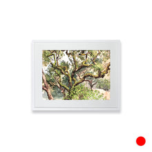 Load image into Gallery viewer, Mossy Oak, Santa Cruz Hills
