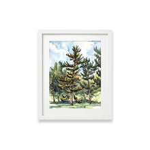 Load image into Gallery viewer, Pastorius Park Tall Tree
