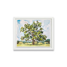 Load image into Gallery viewer, Belmont Plateau Tree
